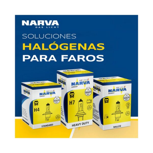 CONT (copia) (copia) (copia) (copia) (copia) (copia) (copia) (copia) (copia) (copia) (copia) (copia) (copia) (copia) (copia) (copia) (copia)